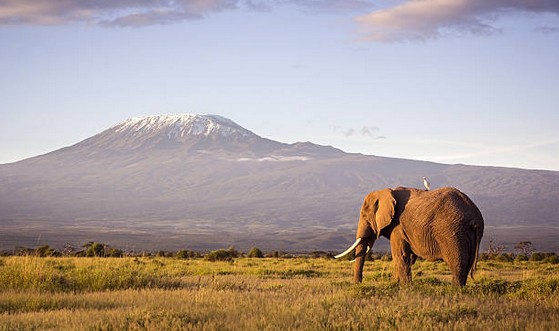 tanzanie-vacances-insolite