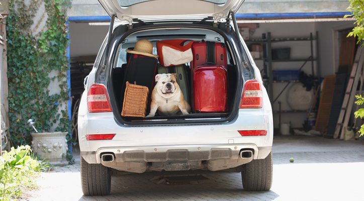 Coffre de voiture rempli de bagages