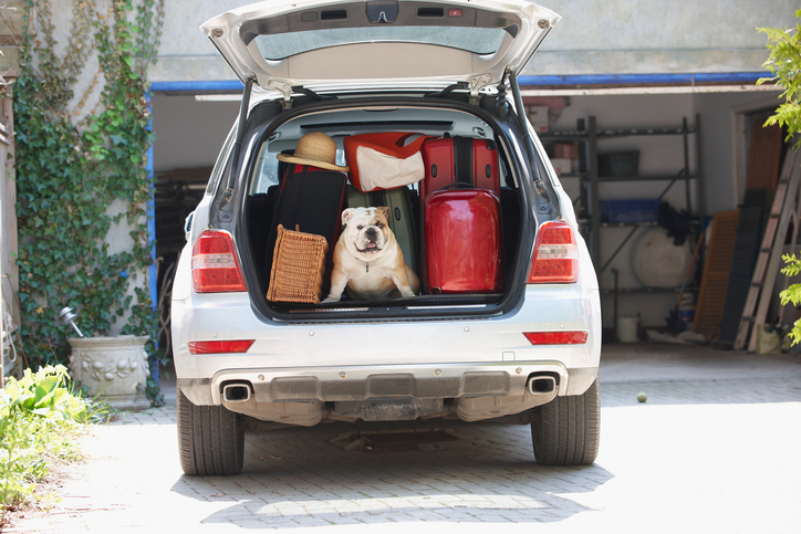 Coffre de voiture rempli de bagages