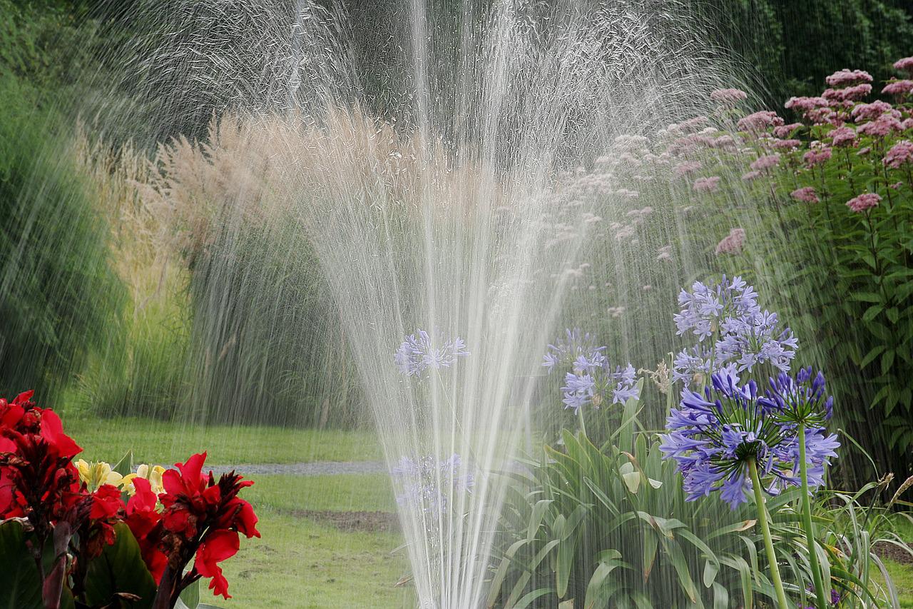 Quel type de pompe pour arroser le jardin ?